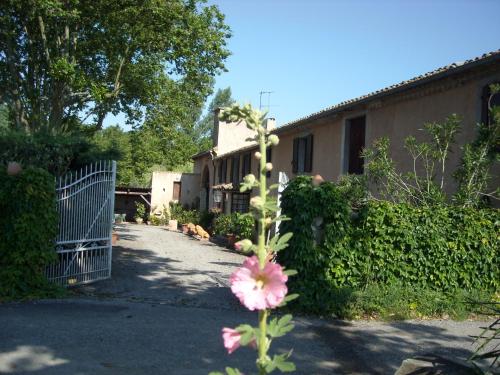 Domaine de la Jonquerole : Guest accommodation near Montolieu
