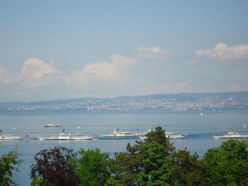 Cosy du Leman : Bed and Breakfast near Allinges