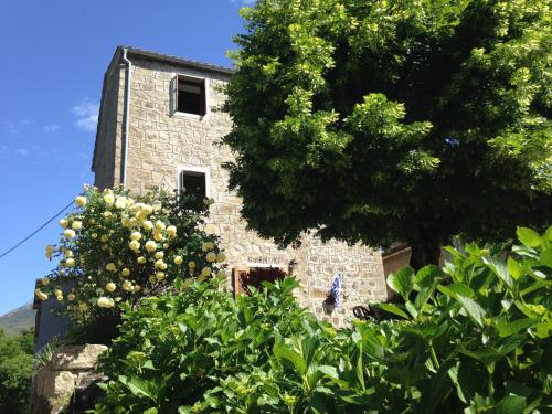 A Torra : Guest accommodation near Eccica-Suarella