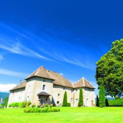 Chateau de Morgenex : Guest accommodation near Hauteville-sur-Fier