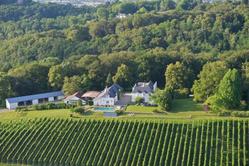 Clos Mirabel Manor - Holiday rental : Guest accommodation near Saint-Faust