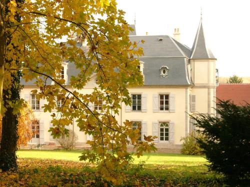 Château d'Epenoux : Bed and Breakfast near Villars-le-Pautel
