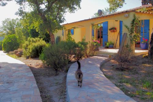 Le Mas du Rouquan : Bed and Breakfast near Les Mayons