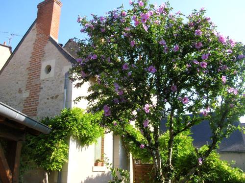Le Petit Jardin Yoyo : Guest accommodation near Villaines-les-Rochers
