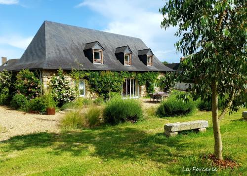 La Forcerie de Chatelais : Bed and Breakfast near Bouchamps-lès-Craon