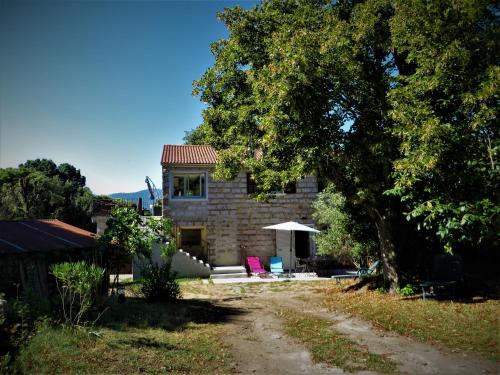 Chez Paulette : Apartment near San-Gavino-di-Carbini