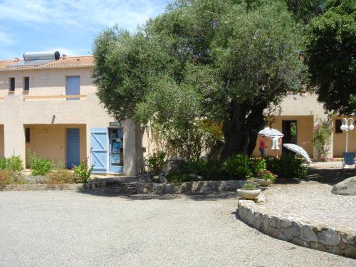 Residence Motel Corsicana : Apartment near Occhiatana