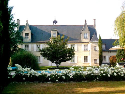 Château de la Ronde : Guest accommodation near Saint-Clément-des-Levées