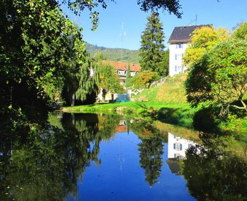 Appartements Maison Bellevue : Apartment near Soultzbach-les-Bains