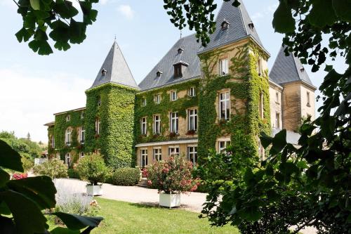 Château d'Adomenil : Hotel near Vaxainville