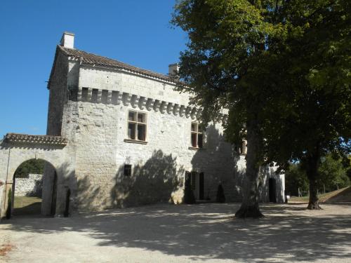 Château de Plèneselve : Guest accommodation near Saint-Pierre-de-Clairac