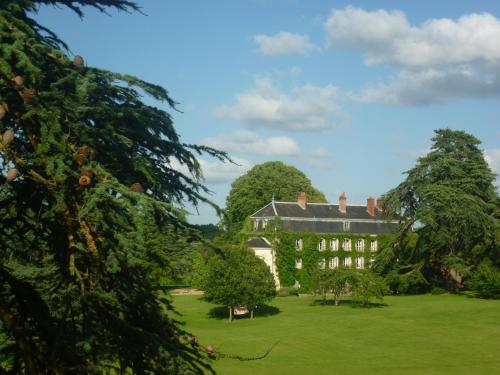 Bed and Breakfast - Château du Vau : Bed and Breakfast near Artannes-sur-Indre