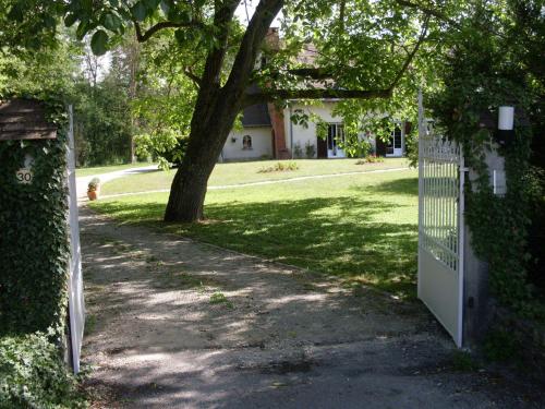Les Iris : Bed and Breakfast near Laines-aux-Bois