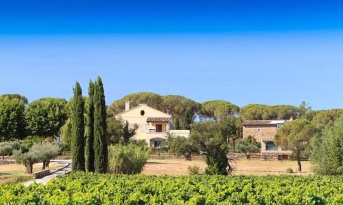 Château Verez : Bed and Breakfast near Le Cannet-des-Maures