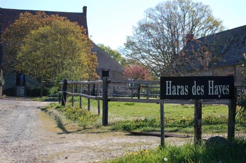 Haras des Hayes : Guest accommodation near Montaillé