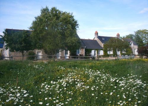 Les Roberderies : Bed and Breakfast near Marcilly-sur-Maulne