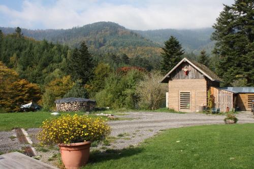 À L'Orée du Bois : Guest accommodation near Raon-sur-Plaine