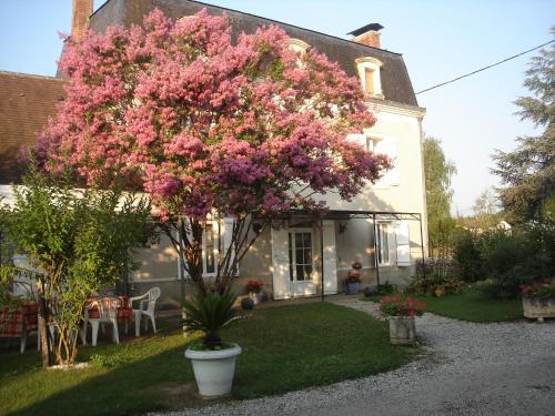 Le Kouloury : Guest accommodation near Pinsac