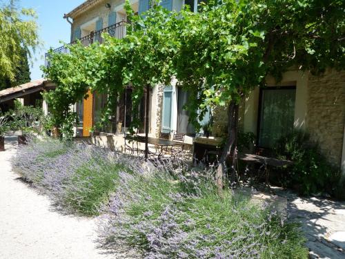 Ferme En Provence : Guest accommodation near Saumane-de-Vaucluse