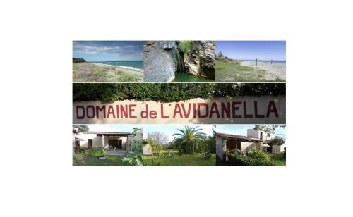 Domaine de l'Avidanella : Apartment near Talasani