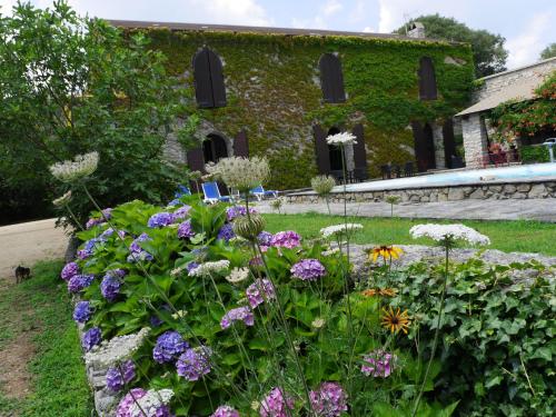 U Palazzu, chambres d'hôtes : Guest accommodation near Poggio-di-Venaco