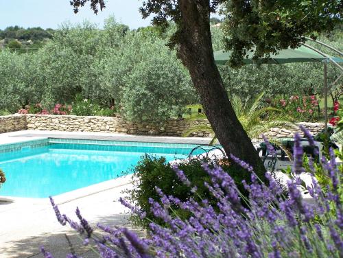 Le Verger : Bed and Breakfast near Cabrières-d'Avignon