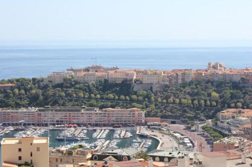 K Immo Monaco Sea View : Apartment near Peillon