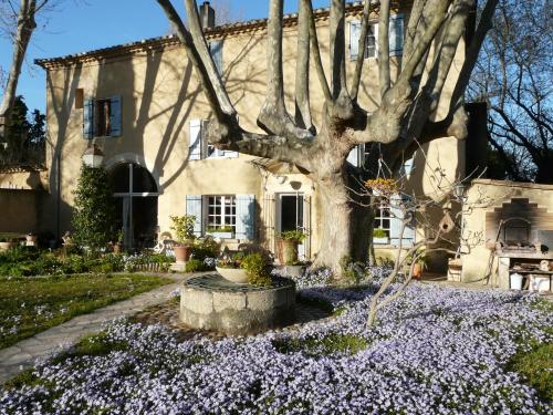 La Petite Seigneurette : Guest accommodation near Villeneuve-lès-Avignon