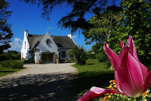 Les Roses : Bed and Breakfast near Cléder