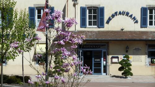 Borne Imperiale : Hotel near Lacour-d'Arcenay