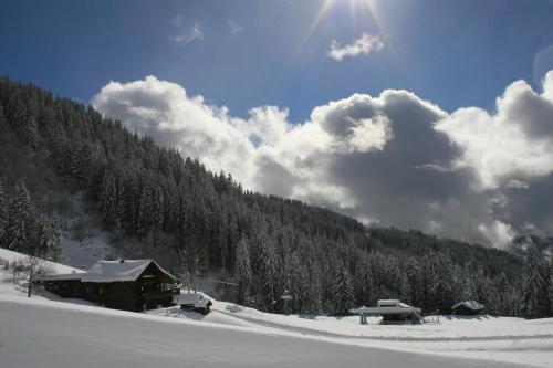 La Chanterelle - Mountain Lodge : Guest accommodation near Mieussy