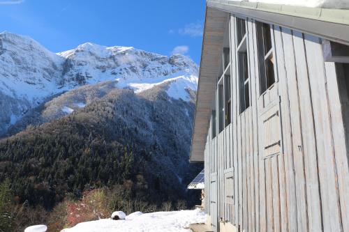 Mystic Marmot : Guest accommodation near Faverges