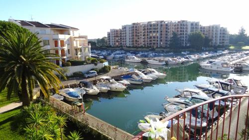Ile De Cannes Marina I : Apartment near Mandelieu-la-Napoule