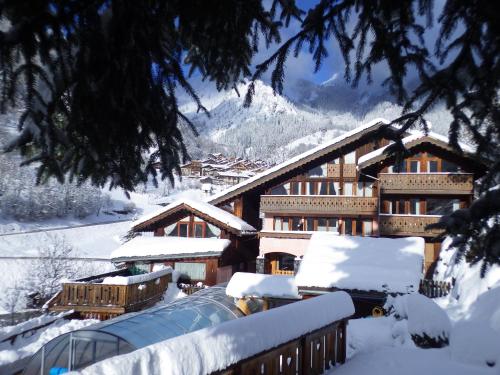 Résidence Les Edelweiss : Guest accommodation near Champagny-en-Vanoise
