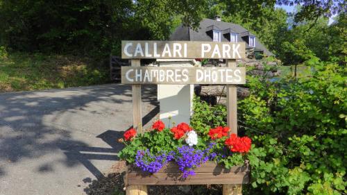 Callari Park : Bed and Breakfast near Gotein-Libarrenx