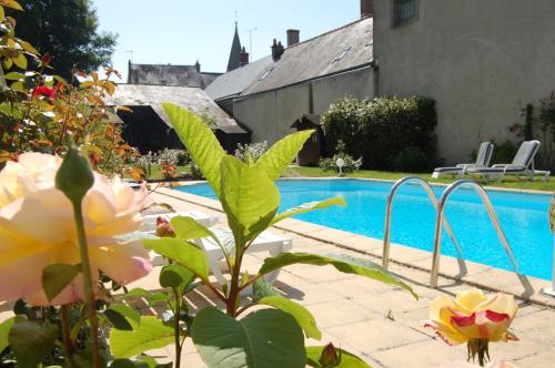 Le Cheval Blanc : Hotel near La Croix-en-Touraine