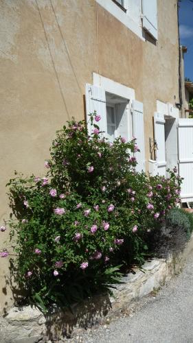 La Farigoule : Guest accommodation near Lagarde-d'Apt
