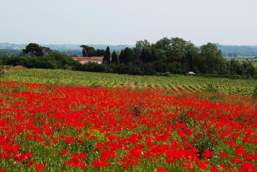 Domaine Saint Ferreol : Guest accommodation near Campagnan