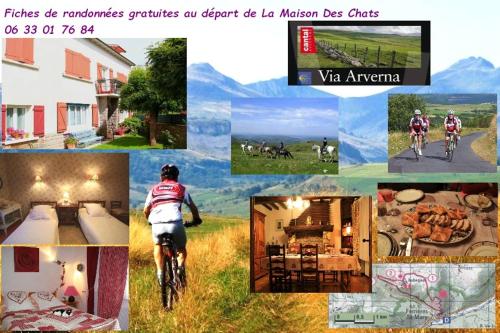 La Maison des Chats : Guest accommodation near Charmensac