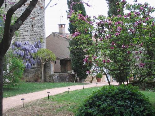 Le Clos de Clessé : Bed and Breakfast near Massilly