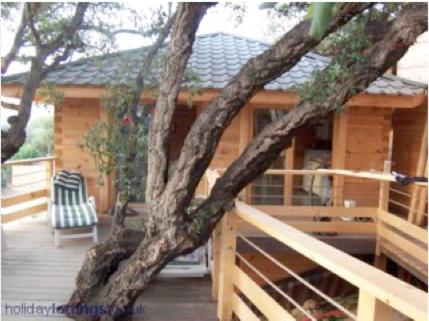 Albaria Lodge : Guest accommodation near Poggio-d'Oletta