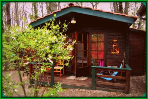 La Cabane De L Indien : Guest accommodation near Le Verdier