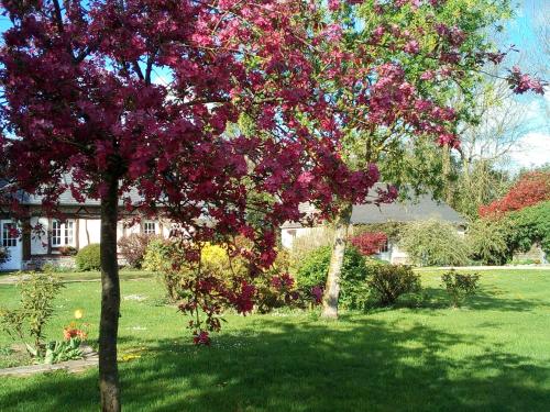 Chambre d'hotes : Bed and Breakfast near Vieux-Manoir