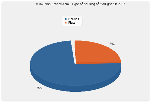 Type of housing of Martignat in 2007