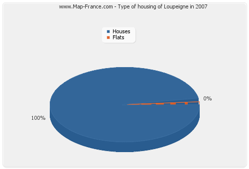 Type of housing of Loupeigne in 2007