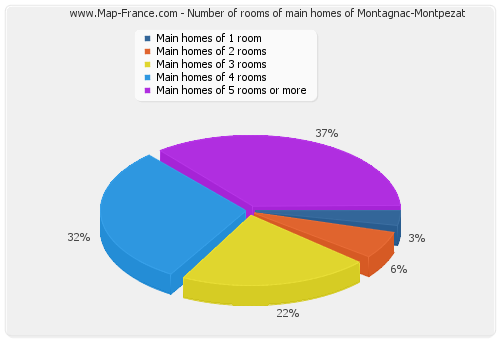 Number of rooms of main homes of Montagnac-Montpezat