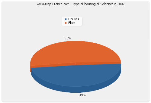 Type of housing of Selonnet in 2007