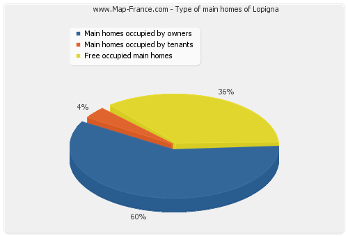 Type of main homes of Lopigna