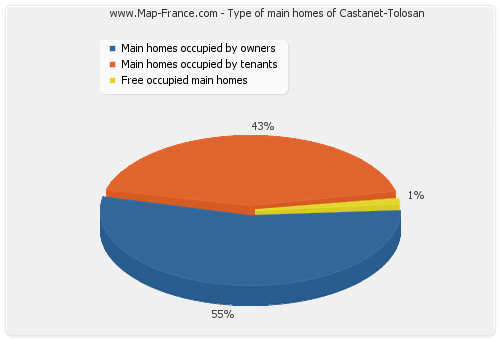 Type of main homes of Castanet-Tolosan