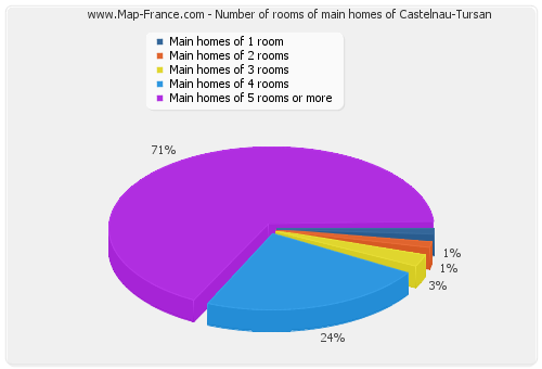 Number of rooms of main homes of Castelnau-Tursan